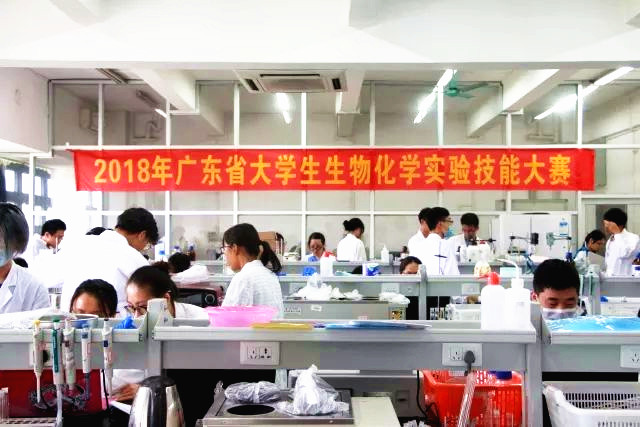 性爱视频
学生荣获广东省生物化学实验技能大赛二等奖02.jpg